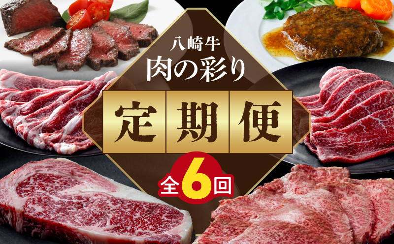 肉の彩り6ヶ月定期便 N0105-YF103