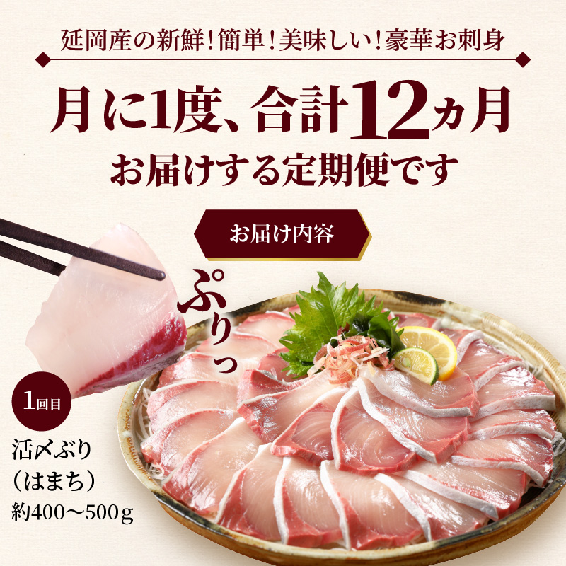 縲舌♀讌ス縺励∩螳壽悄萓ソ縲大サカ蟯。逕」豢サ縲魄ョ鬲壹ョ雎ェ闖ッ縺雁絢霄ォシ12繝カ譛亥ョ壽悄萓ソシ丑019-YYG0191