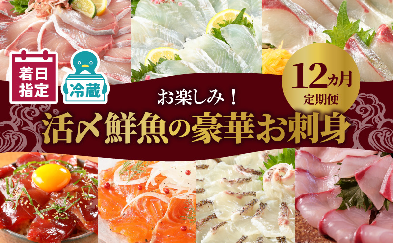 【お楽しみ定期便】延岡産活〆鮮魚の豪華お刺身（12ヶ月定期便）N019-YYG0191