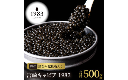 宮崎キャビア1983(500g) N027-YM004