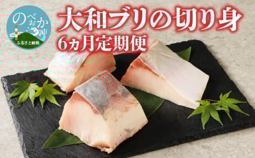 【大和海商】大和ブリの切り身6ヵ月定期便 N072-YE091