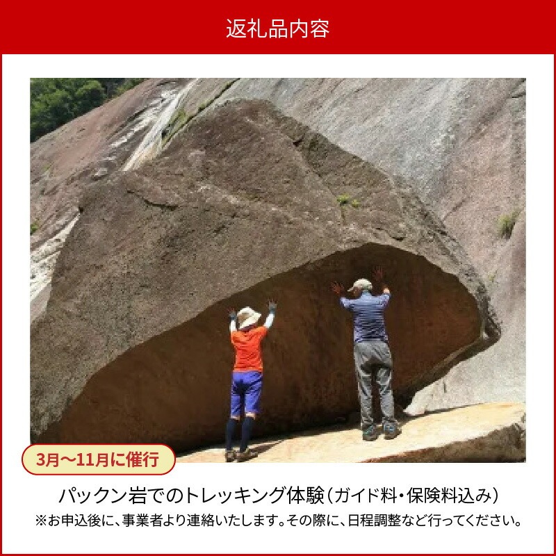 パックン岩トレッキング N002-YZC410