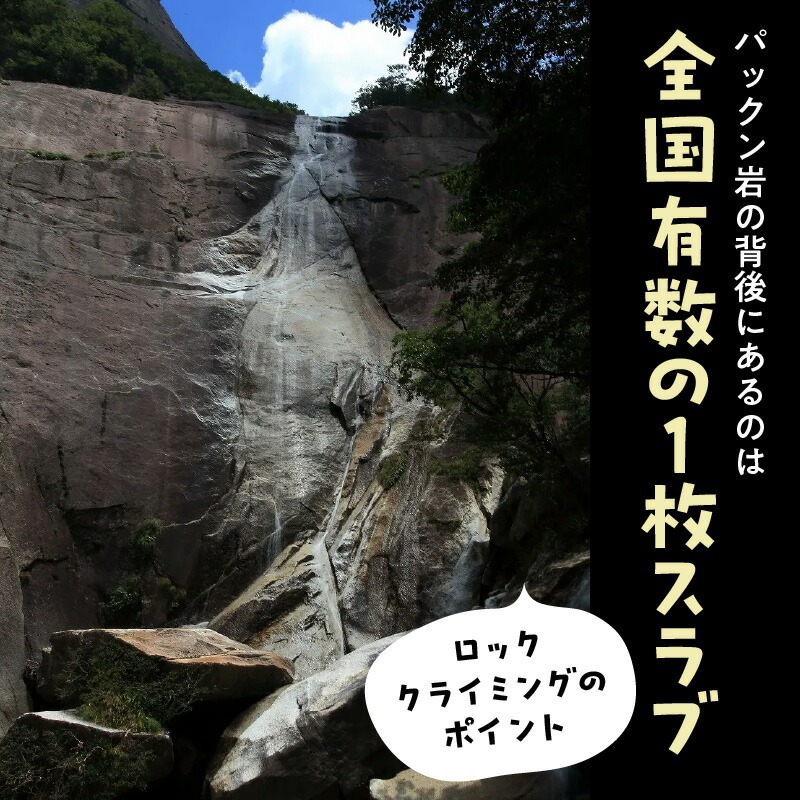 パックン岩トレッキング N002-YZC410