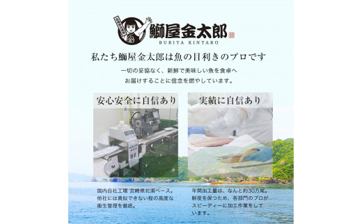鰤屋金太郎【冷蔵】ぶりたいかんぱちスキンレスロイン各種300g N018-YB349-1
