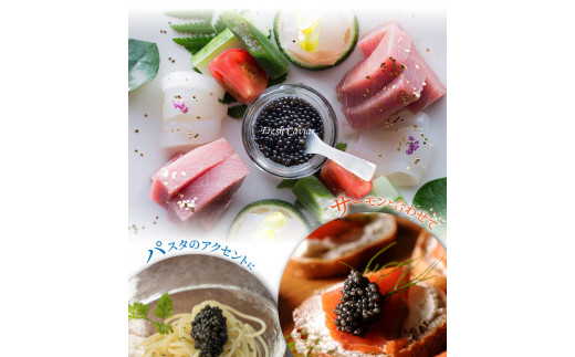 宮崎キャビア1983(50g) N027-YG0216