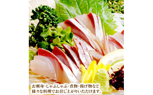 縲仙、ァ蜥後ヶ繝ェ縲大濠霄ォ(セ鯉スィセ)邏1kgテ2譫壹°縺カ縺ィ莉倥″ N072-YD0190