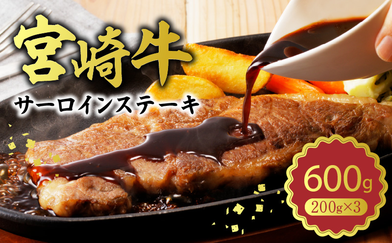 宮崎牛 サーロインステーキ600g N0140-YB727