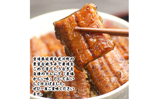 北川鰻の白焼きセット N010-YC518