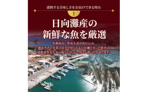定期便定番シリーズ活〆鮮魚のお刺身(3ヶ月お届け) N019-YD0198