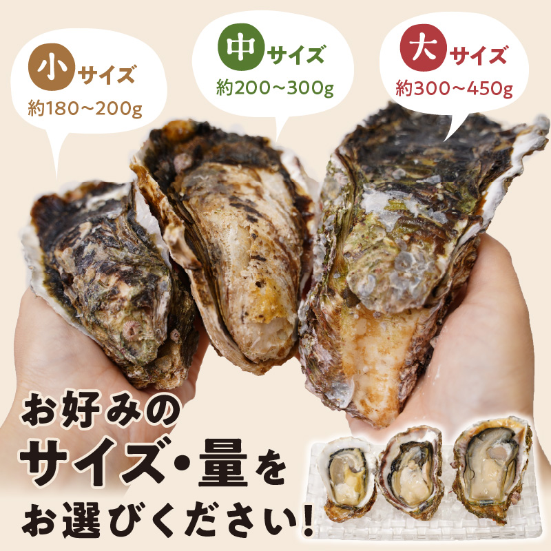蟒カ蟯。逕」螟ゥ辟カ蟯ゥ迚。陟」シ育函鬟溽畑シ10kgシ亥、ァシ会シ2026蟷エ4譛15譌・縺九i逋コ騾髢句ァ具シ丑036-YZD027