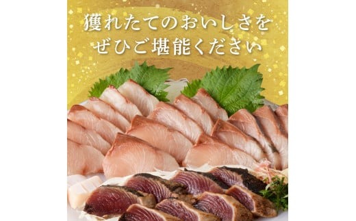 【6ヶ月定期便】大和海商 大和のこだわり漁師のお刺身4人前【冷凍】 N072-YE131-2