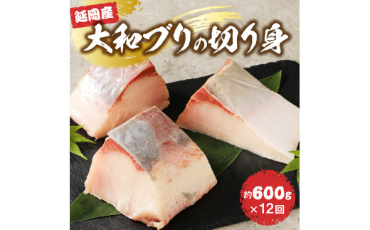 縲12繝オ譛亥ョ壽悄萓ソ縲大、ァ蜥梧オキ蝠 螟ァ蜥後ヶ繝ェ縺ョ蛻繧願コォ N072-YG0184