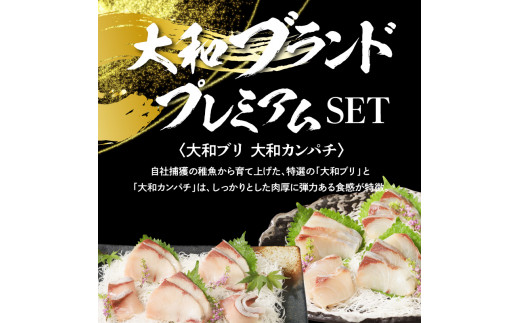 縲仙、ァ蜥梧オキ蝠縲大、ァ蜥後ヶ繝ゥ繝ウ繝峨励Ξ繝溘い繝SET繝悶Μ繧ォ繝ウ繝代メ蟆丞縺大絢霄ォ豬キ縺ョ蟷ク N072-YA848