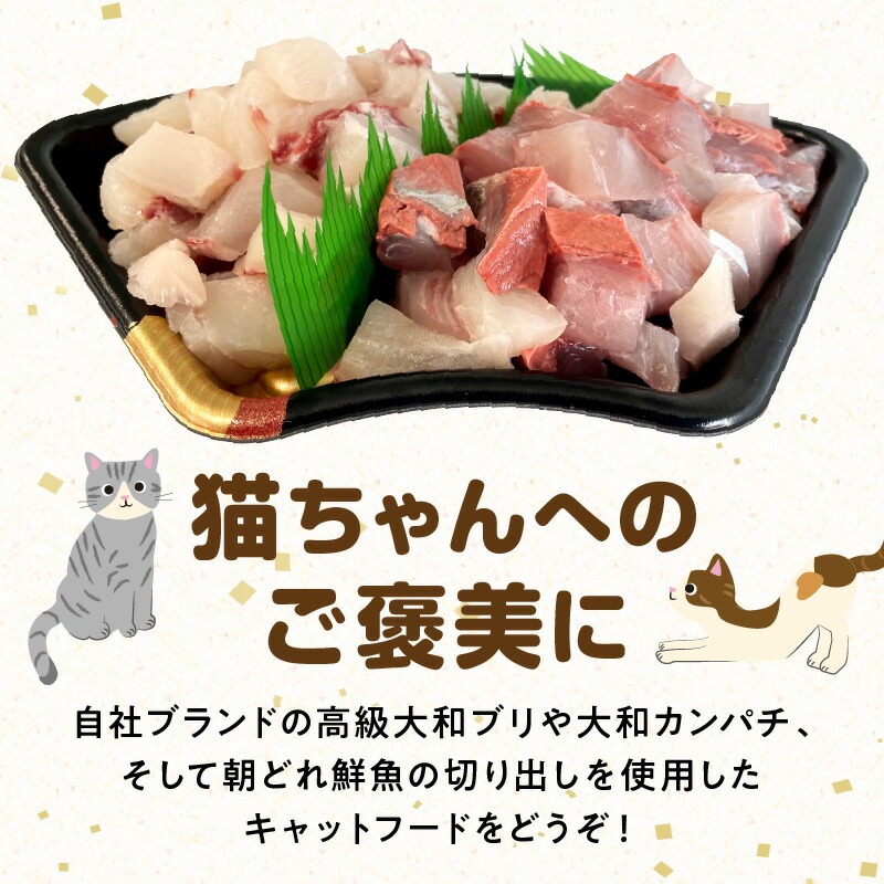 【至福の海の恵み】贅沢グルメキャットフード　N072-YA0398