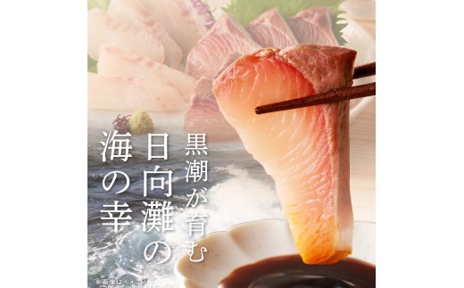 【6ヶ月定期便】大和海商 大和のこだわり漁師のお刺身4人前【冷凍】 N072-YE131-2
