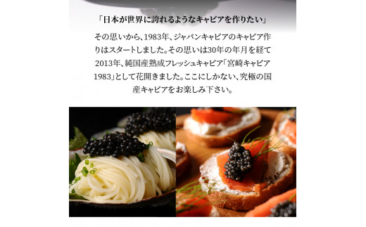 宮崎キャビア1983 (24g)  N027-YD0220