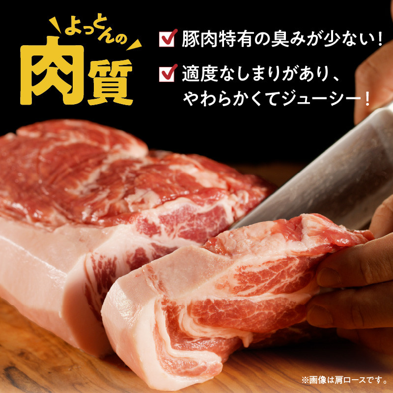 延岡よっとん Aセット N003-YB541
