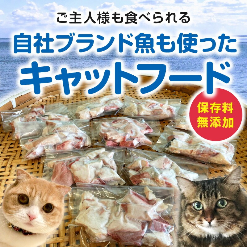 【至福の海の恵み】贅沢グルメキャットフード　N072-YA0398