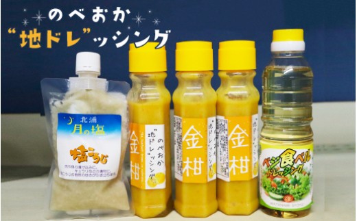 のべおか”地ドレ”ッシング金柑と塩こうじセット N060-YA3395