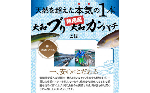 縲仙、ァ蜥梧オキ蝠縲大、ァ蜥後ヶ繝ゥ繝ウ繝峨励Ξ繝溘い繝SET繝悶Μ繧ォ繝ウ繝代メ蟆丞縺大絢霄ォ豬キ縺ョ蟷ク N072-YA848