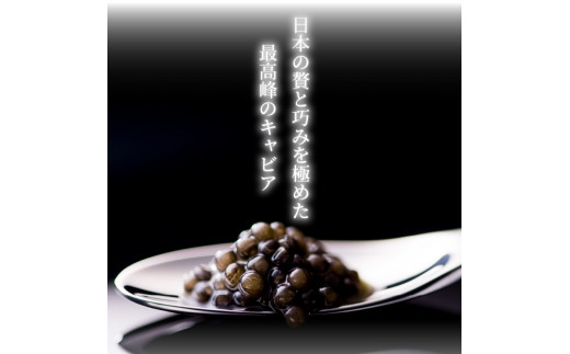 宮崎キャビア1983(90g) N027-YG0218