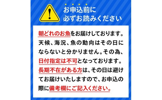 【6ヶ月定期便】大和海商 大和のこだわり漁師のお刺身4人前【冷凍】 N072-YE131-2