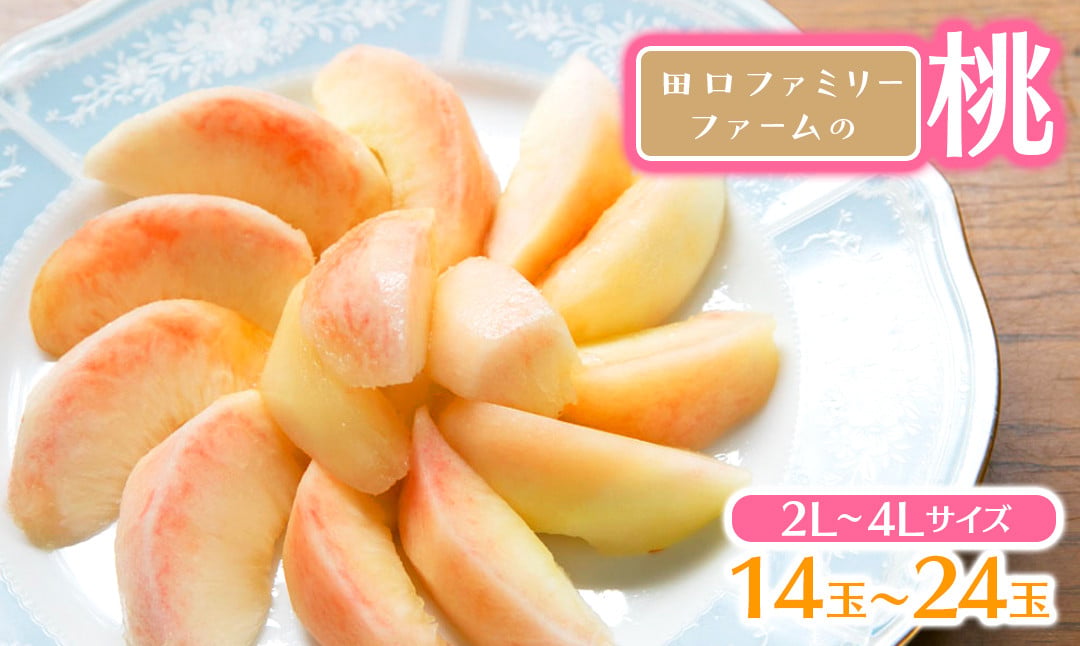 【田口ﾌｧﾐﾘｰﾌｧｰﾑ】旬の桃 2L～4L(14～24玉)(2026年6月中旬発送開始) N053-YZB710