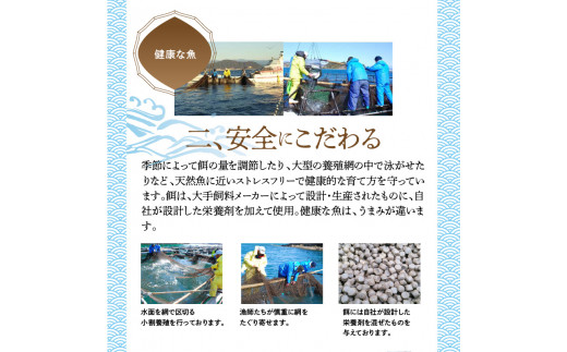 縺ゥ縺」縺輔j螟ァ蜥後ヶ繝ェ蛻繧願コォ N072-YC118