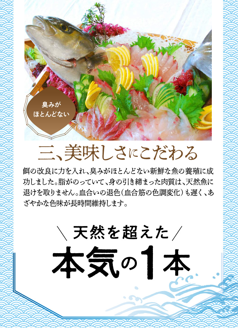 螟ァ蜥後き繝ウ繝代メ縺ョ蛻繧願コォ縲邏600ス N072-YA5532