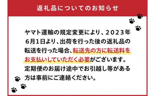 【お楽しみ定期便】延岡産活〆鮮魚の豪華お刺身（6ヶ月定期便） N019-YF073