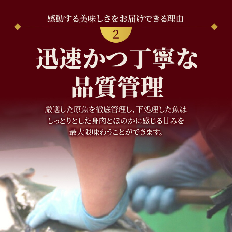 定期便定番シリーズ活〆鮮魚のお刺身(3ヶ月お届け) N019-YD0198
