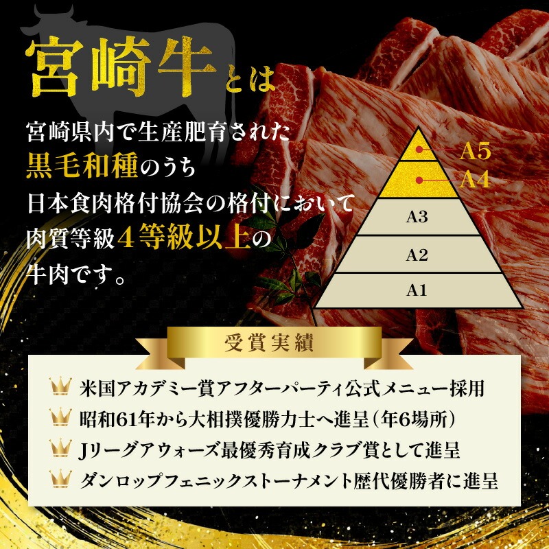 螳ョ蟠守央 繧ォ繝ォ繝鍋┥閧2kg N0140-YD0242