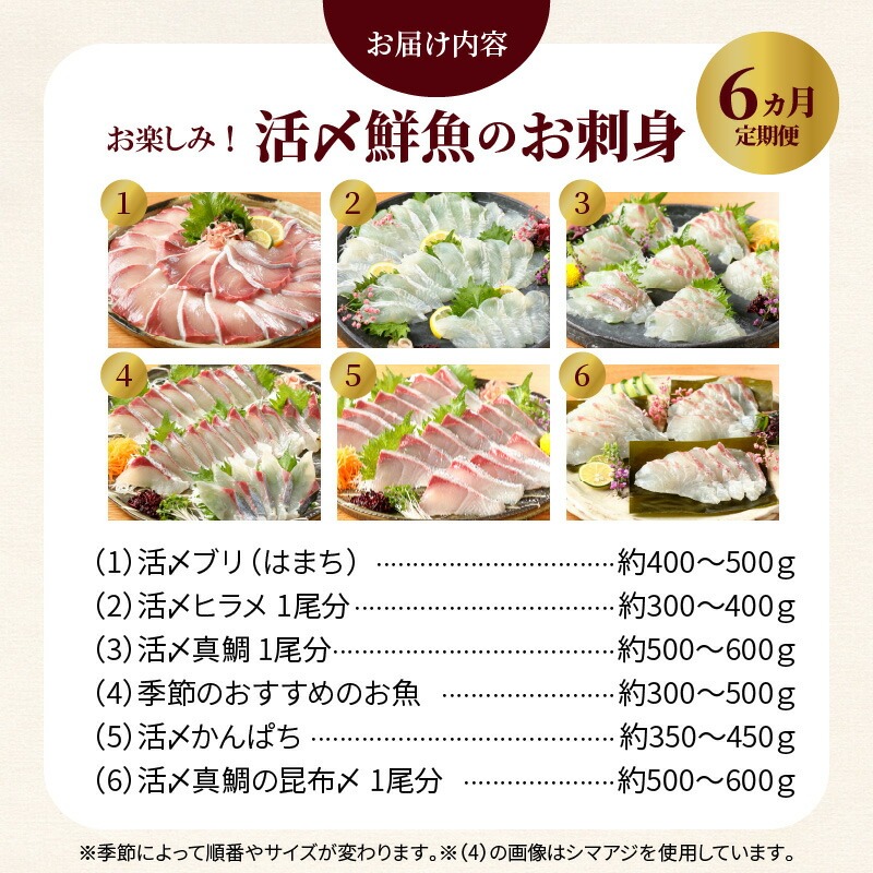 【お楽しみ定期便】延岡産活〆鮮魚の豪華お刺身（6ヶ月定期便） N019-YF073
