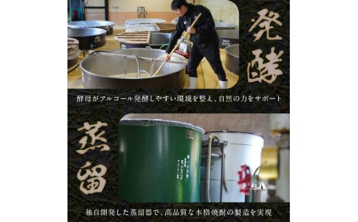 【本格麦焼酎】銀の水・銀の水BLACK 1.8L 6本セット N076-YF100