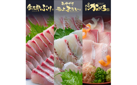 鰤屋金太郎【冷蔵】ぶりたいかんぱちスキンレスロイン各種300g N018-YB349-1