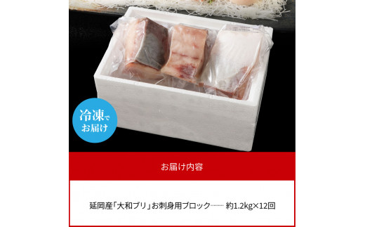 縲12繝カ譛亥ョ壽悄萓ソ縲大、ァ蜥梧オキ蝠螟ァ蜥後ヶ繝ェ縺ョ蛻繧願コォ縺溘▲縺キ繧翫そ繝繝 N072-YH053