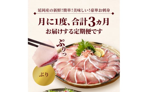 定期便定番シリーズ活〆鮮魚のお刺身(3ヶ月お届け) N019-YD0198