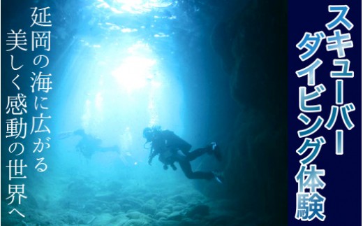 繧ケ繧ュ繝・繝シ繝舌ム繧、繝薙Φ繧ー菴馴ィ N002-YD005