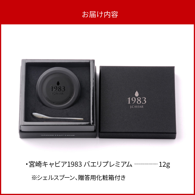 螳ョ蟠弱く繝」繝薙い1983 繝舌お繝ェ繝励Ξ繝溘い繝 (12g) N027-YC909