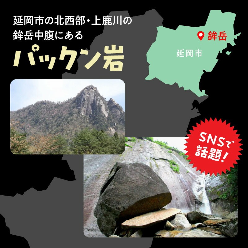 パックン岩トレッキング N002-YZC410