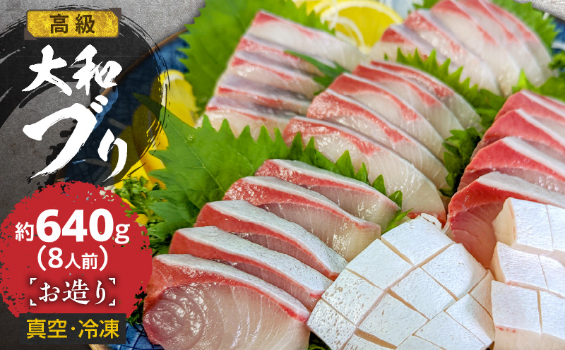 高級大和ブリのお造り8人前 N072-YA859