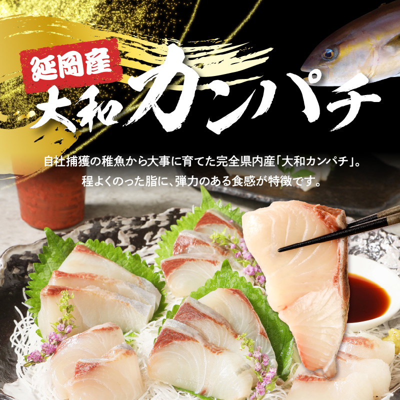 螟ァ蜥後き繝ウ繝代メ縺ョ蛻繧願コォ縲邏600ス N072-YA5532