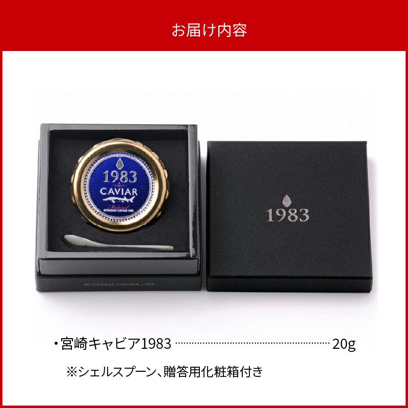 螳ョ蟠弱く繝」繝薙い1983 (20g) N027-YD0219