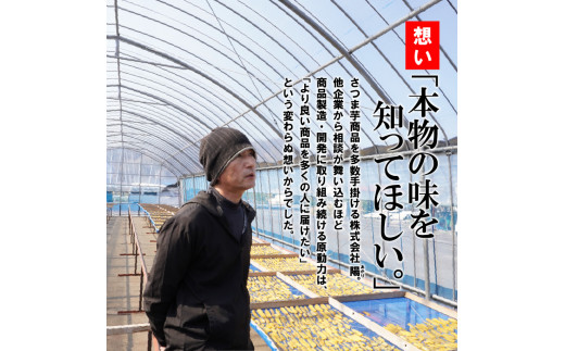 安納芋･紅はるか干しいも120g各4袋 N0152-YZA0183
