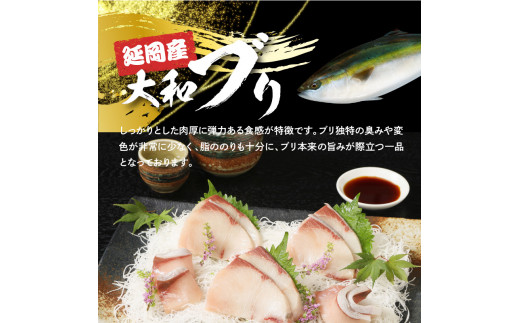 縺ゥ縺」縺輔j螟ァ蜥後ヶ繝ェ蛻繧願コォ N072-YC118