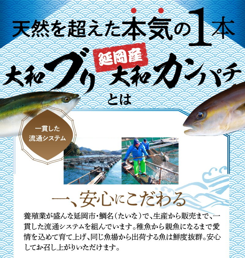 縲12繝カ譛亥ョ壽悄萓ソ縲鷹大シオ繧玖ェ蛻縺ク縺ョ縺碑、堤セ弱そ繝繝 N072-YH062