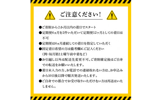 【お楽しみ定期便】延岡産活〆鮮魚の豪華お刺身（6ヶ月定期便） N019-YF073
