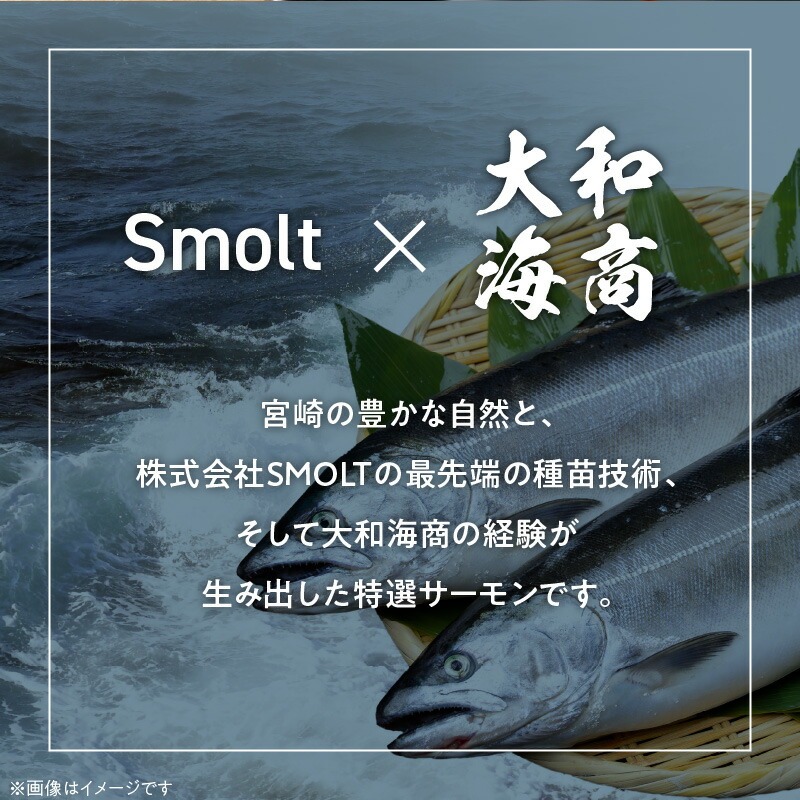 縲12繝カ譛亥ョ壽悄萓ソ縲鷹大シオ繧玖ェ蛻縺ク縺ョ縺碑、堤セ弱そ繝繝 N072-YH062