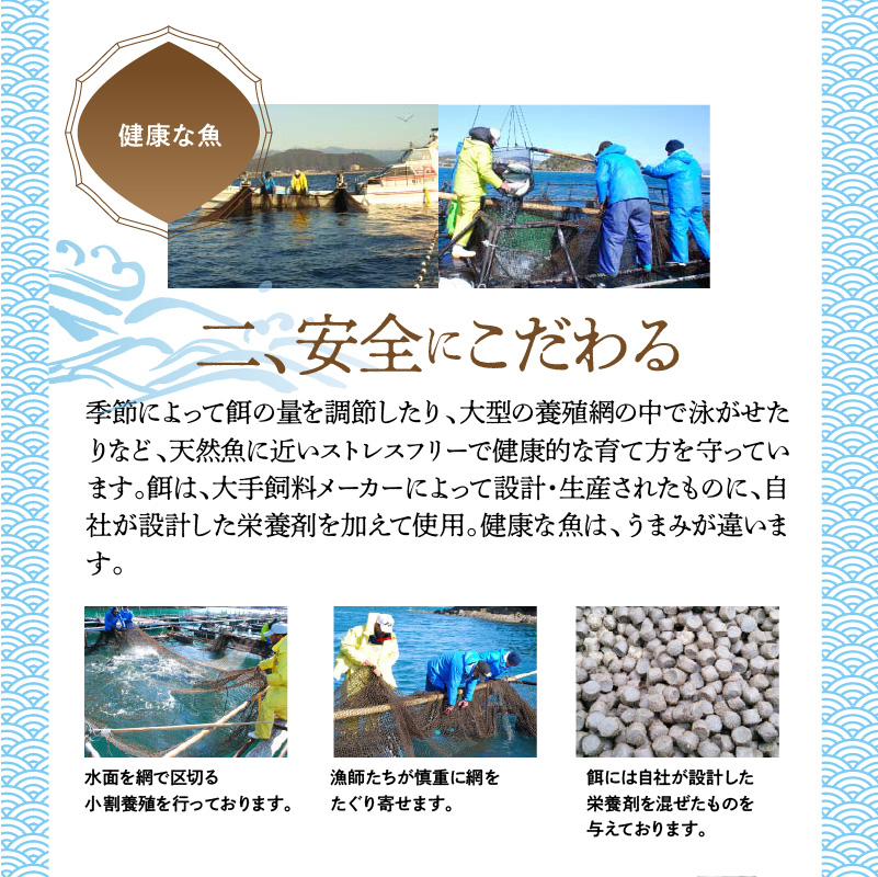 螟ァ蜥後き繝ウ繝代メ縺ョ蛻繧願コォ縲邏600ス N072-YA5532