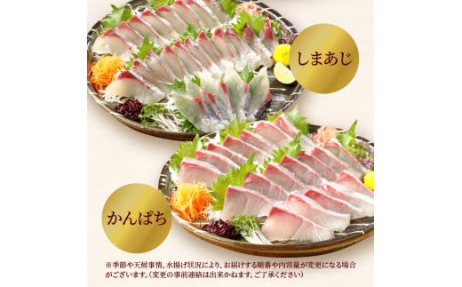 定期便定番シリーズ活〆鮮魚のお刺身(3ヶ月お届け) N019-YD0198
